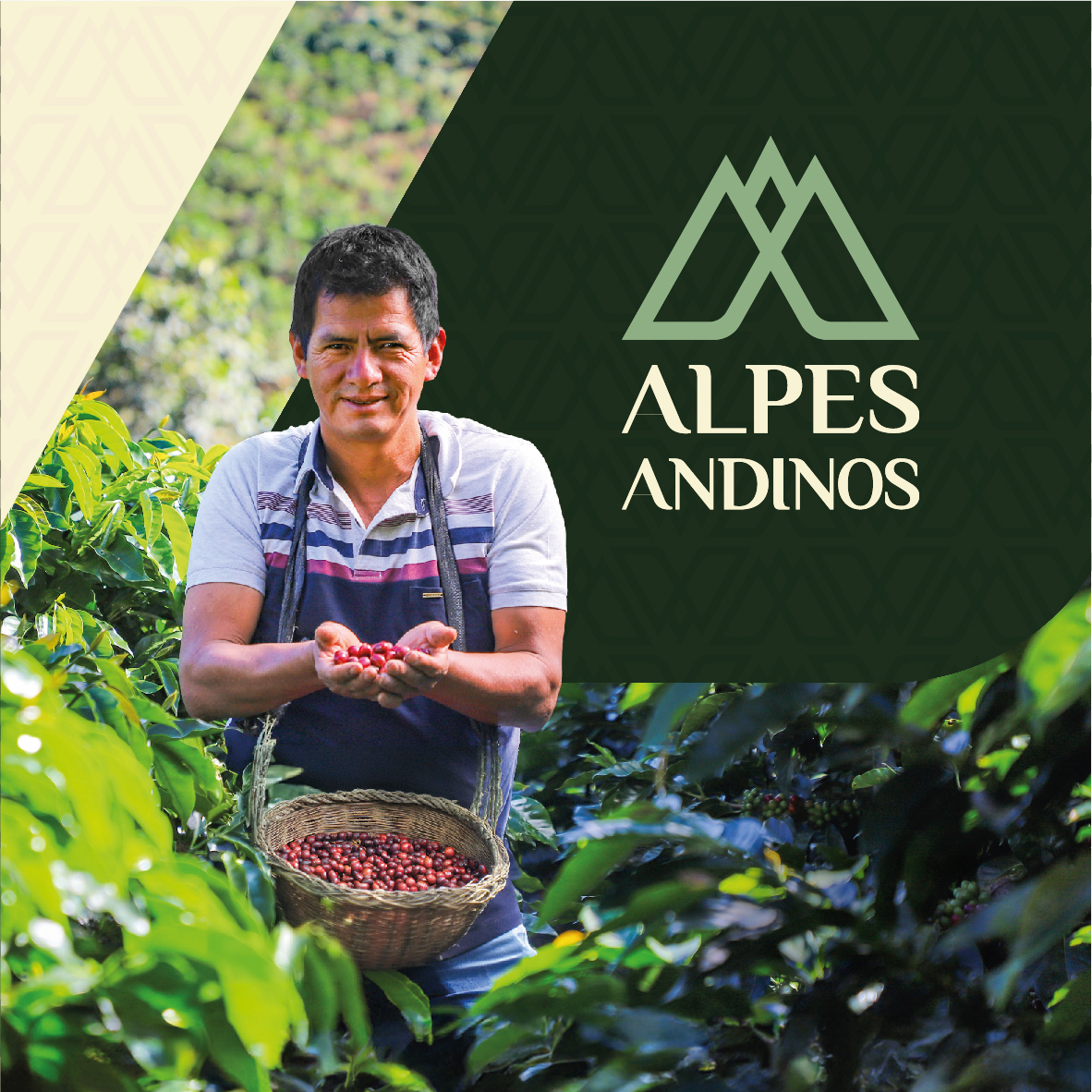 alpeseditiom