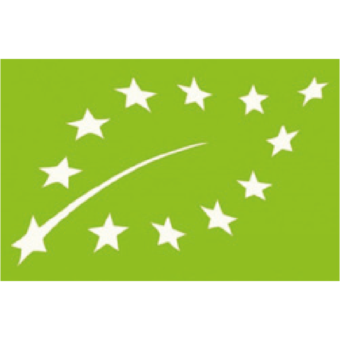 certificacione-11_-10 certificacione-11_-10